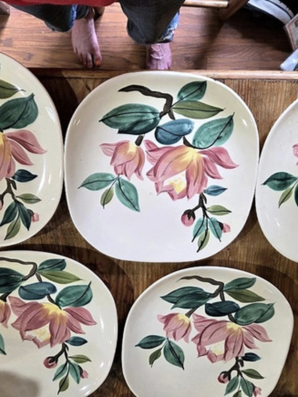 Redwing Magnolia Dinner Plates For Devorative Purposes Only